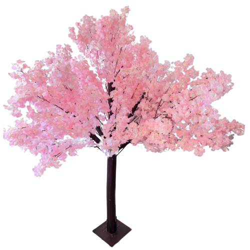 Cerisier japonais en fleur 183 cm